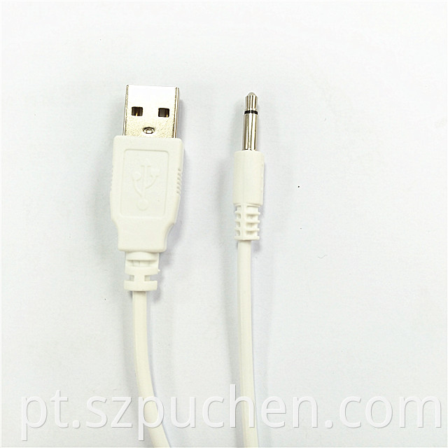 Audio Charging Cable